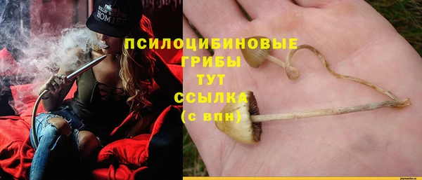 мескалин Нязепетровск