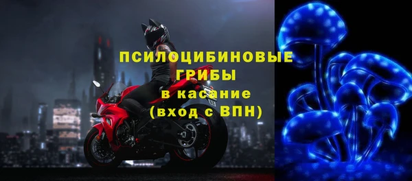 стафф Алексеевка