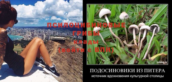 стафф Алексеевка