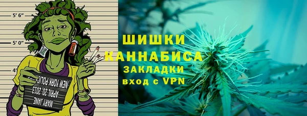 мет Няндома